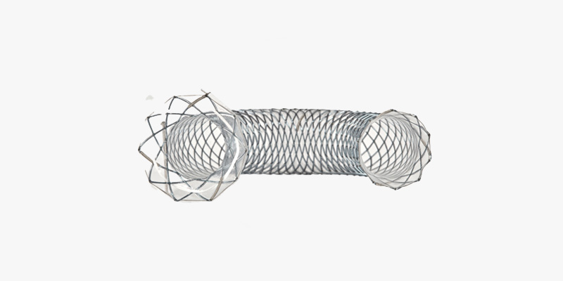 Taewoong gastro-enterology stent